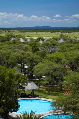Africa;Etosha-N.P.;Etosha-National-Park;Etosha-NP;game-park;game-parks;game-reserve;game-reserves;Namibia;national-park;national-parks;Okaukuejo;Okaukuejo-Camp;Okaukuejo-Rest-Camp;people;person;pool;pools;Southern-Africa;swim;swimmer;swimmers;swimming-pool;swimming-pools;wildlife-park;wildlife-parks;wildlife-reserve;wildlife-reserves