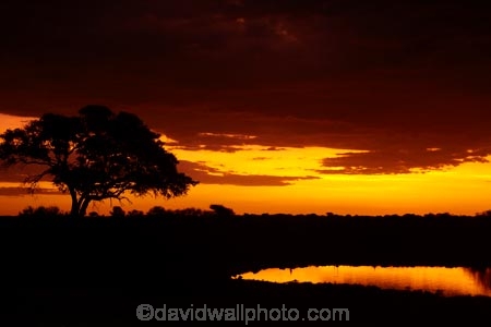 Africa;calm;dusk;Etosha-N.P.;Etosha-National-Park;Etosha-NP;evening;game-park;game-parks;game-reserve;game-reserves;Namibia;national-park;national-parks;night;night_time;nightfall;Okaukuejo;Okaukuejo-Camp;Okaukuejo-Rest-Camp;Okaukuejo-waterhole;orange;placid;quiet;reflected;reflection;reflections;serene;smooth;Southern-Africa;still;sunset;sunsets;tranquil;twilight;water;waterhole;waterholes;wildlife-park;wildlife-parks;wildlife-reserve;wildlife-reserves