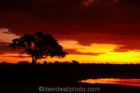 Africa;calm;dusk;Etosha-N.P.;Etosha-National-Park;Etosha-NP;evening;game-park;game-parks;game-reserve;game-reserves;Namibia;national-park;national-parks;night;night_time;nightfall;Okaukuejo;Okaukuejo-Camp;Okaukuejo-Rest-Camp;Okaukuejo-waterhole;orange;placid;quiet;reflected;reflection;reflections;serene;smooth;Southern-Africa;still;sunset;sunsets;tranquil;twilight;water;waterhole;waterholes;wildlife-park;wildlife-parks;wildlife-reserve;wildlife-reserves