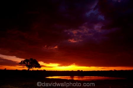 Africa;calm;dusk;Etosha-N.P.;Etosha-National-Park;Etosha-NP;evening;game-park;game-parks;game-reserve;game-reserves;Namibia;national-park;national-parks;night;night_time;nightfall;Okaukuejo;Okaukuejo-Camp;Okaukuejo-Rest-Camp;Okaukuejo-waterhole;orange;placid;quiet;reflected;reflection;reflections;serene;smooth;Southern-Africa;still;sunset;sunsets;tranquil;twilight;water;waterhole;waterholes;wildlife-park;wildlife-parks;wildlife-reserve;wildlife-reserves