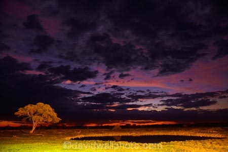 Africa;dusk;Etosha-N.P.;Etosha-National-Park;Etosha-NP;evening;floodlight;floodlighting;game-park;game-parks;game-reserve;game-reserves;Namibia;national-park;national-parks;night;night_time;nightfall;Okaukuejo;Okaukuejo-Camp;Okaukuejo-Rest-Camp;Okaukuejo-waterhole;orange;Southern-Africa;sunset;sunsets;twilight;waterhole;waterholes;wildlife-park;wildlife-parks;wildlife-reserve;wildlife-reserves