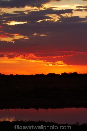 Africa;calm;dusk;Etosha-N.P.;Etosha-National-Park;Etosha-NP;evening;game-park;game-parks;game-reserve;game-reserves;Namibia;national-park;national-parks;night;night_time;nightfall;Okaukuejo;Okaukuejo-Camp;Okaukuejo-Rest-Camp;Okaukuejo-waterhole;orange;placid;quiet;reflected;reflection;reflections;serene;smooth;Southern-Africa;still;sunset;sunsets;tranquil;twilight;water;waterhole;waterholes;wildlife-park;wildlife-parks;wildlife-reserve;wildlife-reserves