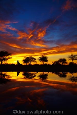 Africa;break-of-day;calm;dawn;dawning;daybreak;Etosha-N.P.;Etosha-National-Park;Etosha-NP;first-light;game-park;game-parks;game-reserve;game-reserves;morning;Namibia;national-park;national-parks;Okaukuejo;Okaukuejo-camp-ground;Okaukuejo-camp-site;Okaukuejo-campground;Okaukuejo-campsite;Okaukuejo-Rest-Camp;orange;placid;quiet;reflected;reflection;reflections;serene;smooth;Southern-Africa;still;sunrise;sunrises;sunup;tranquil;twilight;water;wildlife-park;wildlife-parks;wildlife-reserve;wildlife-reserves