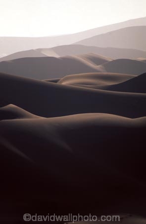 Sossusvlei;Namib_Naukluft-National-Park;national-park;Namibia;Southern-Africa;Africa;African;plain;plains;landscape;sand;sand-dune;sand-dunes;dune;dunes;sparse;empty;desert;deserted;africa;african;wilderness;sandy;slope;slopes;curve;curves;vast;background;backgrounds;barren;desolate;desolation;dried;dry;outdoor;outdoors;outside;surface;surfaces;texture;textures