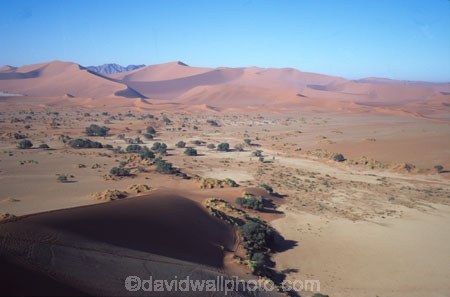 Sossusvlei;Namib_Naukluft-National-Park;national-park;Namibia;Southern-Africa;Africa;African;plain;plains;landscape;sand;sand-dune;sand-dunes;dune;dunes;sparse;empty;desert;deserted;bush;bushes;africa;african;wilderness;sandy;vast;barren;desolate;desolation;dried;dry;outdoor;outdoors;outside;surface;surfaces