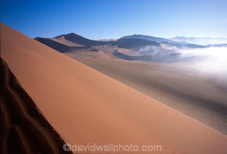 Sossusvlei;Namib_Naukluft-National-Park;national-park;Namibia;Southern-Africa;Africa;African;arid;aridity;barren;barreness;desert;deserts;deserted;empty;wilderness;solitude;sand-dune;dunes;sand_dune;sand_dunes;natural;nature;hot;remote;landscape;landscapes;desolate;desolation;ecosystem;ecosystems;loneliness;orange;red;namib;curve;curves;line;lines;misty;ripple;ripples;sand;sand-dune;sand-dunes;dune;dunes;cloud;mist;fog;low-cloud;slope;slopes;angle;sparse