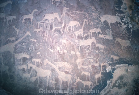 Twyfelfontein;Namibia;Southern-Africa;Africa;African;rock-drawing;rock-drawings;rock-etching;rock-painting;rock-paintings;drawing;drawings;etching;etch;draw;ancient;historic;historical;rock-wall;animals;animal
