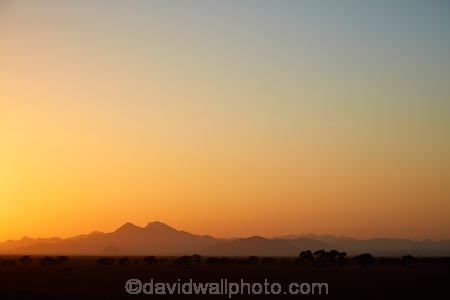 acacia;acacia-tree;acacia-trees;Africa;African;break-of-day;dawn;dawning;daybreak;desert;deserts;first-light;light;morning;Namib-Desert;Namib-Rand;Namib-Rand-Nature-Reserve;Namibia;NamibRand;NamibRand-Family-Hideout;NamibRand-Nature-Reserve;NamibRand-Reserve;NRNR;orange;plain;Southern-Africa;Southern-Namibia;sunrise;sunrises;sunup;tree;trees;twilight