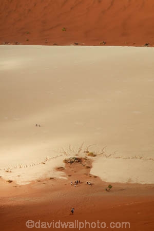 adventure;adventurous;Africa;African;arid;big-dunes;Dead-vlei;Deadvlei;desert;deserts;dry;dry-lake;dry-lake-bed;dry-lake-beds;dry-lakes;dune;dunes;families;family;giant-dune;giant-dunes;giant-sand-dune;giant-sand-dunes;holiday;holidays;hot;huge-dunes;lake-bed;large-dunes;Namib-Desert;Namib-Naukluft-N.P.;Namib-Naukluft-National-Park;Namib-Naukluft-NP;Namib_Naukluft-N.P.;Namib_Naukluft-National-Park;Namib_Naukluft-NP;Namibia;national-park;national-parks;natural;orange-sand;people;person;remote;remoteness;reserve;reserves;sand;sand-dune;sand-dunes;sand-hill;sand-hills;sand_dune;sand_dunes;sand_hill;sand_hills;sanddune;sanddunes;sandhill;sandhills;sandy;Sossusvlei;Southern-Africa;tourism;tourist;tourists;wilderness