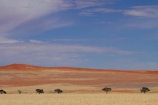 707-road;Africa;D707-road;desert;deserts;dry;dune;dunes;Namib-Desert;Namibia;sand-dune;sand-dunes;Southern-Africa;Southern-Namiba