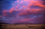 Africa;cloud;clouds;color;colorful;colour;colourful;Desert-Camp;dusk;evening;Namib-Desert;Namibia;night;night_time;nightfall;pink;red;Sesriem;skies;sky;Southern-Africa;sunset;sunsets;twilight