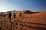 Africa;arid;big-dunes;children;Dead-vlei;Deadvlei;desert;deserts;dry;dune;dunes;families;family;family-holiday;family-holidays;giant-dune;giant-dunes;giant-sand-dune;giant-sand-dunes;holiday;holidays;hot;huge-dunes;large-dunes;Namib-Desert;Namib-Naukluft-N.P.;Namib-Naukluft-National-Park;Namib-Naukluft-NP;Namib_Naukluft-N.P.;Namib_Naukluft-National-Park;Namib_Naukluft-NP;Namibia;national-park;national-parks;natural;orange-sand;people;person;remote;remoteness;reserve;reserves;sand;sand-dune;sand-dunes;sand-hill;sand-hills;sand_dune;sand_dunes;sand_hill;sand_hills;sanddune;sanddunes;sandhill;sandhills;sandy;Sossusvlei;Southern-Africa;tourism;tourist;tourists;wilderness