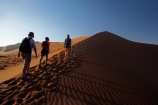 Africa;arid;big-dunes;children;Dead-vlei;Deadvlei;desert;deserts;dry;dune;dunes;families;family;family-holiday;family-holidays;giant-dune;giant-dunes;giant-sand-dune;giant-sand-dunes;holiday;holidays;hot;huge-dunes;large-dunes;Namib-Desert;Namib-Naukluft-N.P.;Namib-Naukluft-National-Park;Namib-Naukluft-NP;Namib_Naukluft-N.P.;Namib_Naukluft-National-Park;Namib_Naukluft-NP;Namibia;national-park;national-parks;natural;orange-sand;people;person;remote;remoteness;reserve;reserves;sand;sand-dune;sand-dunes;sand-hill;sand-hills;sand_dune;sand_dunes;sand_hill;sand_hills;sanddune;sanddunes;sandhill;sandhills;sandy;Sossusvlei;Southern-Africa;tourism;tourist;tourists;wilderness