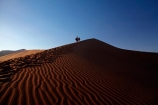 Africa;arid;big-dunes;children;Dead-vlei;Deadvlei;desert;deserts;dry;dune;dunes;families;family;family-holiday;family-holidays;giant-dune;giant-dunes;giant-sand-dune;giant-sand-dunes;holiday;holidays;hot;huge-dunes;large-dunes;Namib-Desert;Namib-Naukluft-N.P.;Namib-Naukluft-National-Park;Namib-Naukluft-NP;Namib_Naukluft-N.P.;Namib_Naukluft-National-Park;Namib_Naukluft-NP;Namibia;national-park;national-parks;natural;orange-sand;people;person;remote;remoteness;reserve;reserves;sand;sand-dune;sand-dunes;sand-hill;sand-hills;sand_dune;sand_dunes;sand_hill;sand_hills;sanddune;sanddunes;sandhill;sandhills;sandy;Sossusvlei;Southern-Africa;tourism;tourist;tourists;wilderness