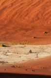 adventure;adventurous;Africa;arid;big-dunes;children;Dead-vlei;Deadvlei;desert;deserts;dry;dry-lake;dry-lake-bed;dry-lake-beds;dry-lakes;dune;dunes;families;family;giant-dune;giant-dunes;giant-sand-dune;giant-sand-dunes;holiday;holidays;hot;huge-dunes;lake-bed;large-dunes;Namib-Desert;Namib-Naukluft-N.P.;Namib-Naukluft-National-Park;Namib-Naukluft-NP;Namib_Naukluft-N.P.;Namib_Naukluft-National-Park;Namib_Naukluft-NP;Namibia;national-park;national-parks;natural;orange-sand;people;person;remote;remoteness;reserve;reserves;sand;sand-dune;sand-dunes;sand-hill;sand-hills;sand_dune;sand_dunes;sand_hill;sand_hills;sanddune;sanddunes;sandhill;sandhills;sandy;Sossusvlei;Southern-Africa;tourism;tourist;tourists;wilderness