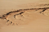 Africa;clay-pan;clay-pans;Dead-Vlei;Deadvlei;desert;deserts;dry-lake;dry-lake-bed;dry-lake-beds;dry-lakes;eroded;erosion;lake-bed;Namib-Desert;Namib-Naukluft-N.P.;Namib-Naukluft-National-Park;Namib-Naukluft-NP;Namib_Naukluft-N.P.;Namib_Naukluft-National-Park;Namib_Naukluft-NP;Namibia;national-park;national-parks;pan;reserve;reserves;salt-pan;salt-pans;Sossusvlei;Southern-Africa;vlei;white-clay-pan