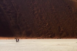 adventure;adventurous;Africa;arid;big-dunes;clay-pan;clay-pans;Dead-Vlei;Deadvlei;desert;deserts;dry;dry-lake;dry-lake-bed;dry-lake-beds;dry-lakes;dune;dunes;giant-dune;giant-dunes;giant-sand-dune;giant-sand-dunes;hot;huge-dunes;lake-bed;large-dunes;Namib-Desert;Namib-Naukluft-N.P.;Namib-Naukluft-National-Park;Namib-Naukluft-NP;Namib_Naukluft-N.P.;Namib_Naukluft-National-Park;Namib_Naukluft-NP;Namibia;national-park;national-parks;natural;pan;people;person;remote;remoteness;reserve;reserves;salt-pan;salt-pans;sand;sand-dune;sand-dunes;sand-hill;sand-hills;sand_dune;sand_dunes;sand_hill;sand_hills;sanddune;sanddunes;sandhill;sandhills;sandy;Sossusvlei;Southern-Africa;tourism;tourist;tourists;vlei;white-clay-pan;wilderness