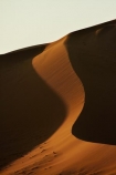 Africa;arid;curve;curves;desert;deserts;dry;dune;dunes;hot;Namib-Desert;Namib-Naukluft-N.P.;Namib-Naukluft-National-Park;Namib-Naukluft-NP;Namib_Naukluft-N.P.;Namib_Naukluft-National-Park;Namib_Naukluft-NP;Namibia;national-park;national-parks;natural;orange-sand;remote;remoteness;reserve;reserves;sand;sand-dune;sand-dunes;sand-hill;sand-hills;sand_dune;sand_dunes;sand_hill;sand_hills;sanddune;sanddunes;sandhill;sandhills;sandy;Southern-Africa;wilderness
