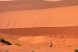 Africa;arid;big-dunes;Dead-vlei;Deadvlei;desert;deserts;dry;dune;dunes;giant-dune;giant-dunes;giant-sand-dune;giant-sand-dunes;hot;huge-dunes;large-dunes;Namib-Desert;Namib-Naukluft-N.P.;Namib-Naukluft-National-Park;Namib-Naukluft-NP;Namib_Naukluft-N.P.;Namib_Naukluft-National-Park;Namib_Naukluft-NP;Namibia;national-park;national-parks;natural;orange-sand;people;person;remote;remoteness;reserve;reserves;sand;sand-dune;sand-dunes;sand-hill;sand-hills;sand_dune;sand_dunes;sand_hill;sand_hills;sanddune;sanddunes;sandhill;sandhills;sandy;Sossusvlei;Southern-Africa;tourism;tourist;tourists;wilderness