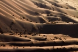 Africa;arid;big-dunes;desert;deserts;dry;dune;dunes;giant-dune;giant-dunes;giant-sand-dune;giant-sand-dunes;hot;huge-dunes;large-dunes;Namib-Desert;Namib-Naukluft-N.P.;Namib-Naukluft-National-Park;Namib-Naukluft-NP;Namib_Naukluft-N.P.;Namib_Naukluft-National-Park;Namib_Naukluft-NP;Namibia;national-park;national-parks;natural;remote;remoteness;reserve;reserves;sand;sand-dune;sand-dunes;sand-hill;sand-hills;sand_dune;sand_dunes;sand_hill;sand_hills;sanddune;sanddunes;sandhill;sandhills;sandy;Southern-Africa;wilderness