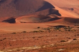 4wd;4wds;4wds;4x4;4x4s;4x4s;Africa;arid;big-dunes;desert;deserts;dry;dune;dunes;four-by-four;four-by-fours;four-wheel-drive;four-wheel-drives;giant-dune;giant-dunes;giant-sand-dune;giant-sand-dunes;hot;huge-dunes;large-dunes;Namib-Desert;Namib-Naukluft-N.P.;Namib-Naukluft-National-Park;Namib-Naukluft-NP;Namib_Naukluft-N.P.;Namib_Naukluft-National-Park;Namib_Naukluft-NP;Namibia;national-park;national-parks;natural;orange-sand;remote;remoteness;reserve;reserves;sand;sand-dune;sand-dunes;sand-hill;sand-hills;sand_dune;sand_dunes;sand_hill;sand_hills;sanddune;sanddunes;sandhill;sandhills;sandy;Sossusvlei;Southern-Africa;sports-utility-vehicle;sports-utility-vehicles;suv;suvs;track;tracks;vehicle;vehicles;wilderness