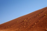 Africa;arid;big-dunes;Dead-vlei;Deadvlei;desert;deserts;dry;dune;dunes;giant-dune;giant-dunes;giant-sand-dune;giant-sand-dunes;hot;huge-dunes;large-dunes;Namib-Desert;Namib-Naukluft-N.P.;Namib-Naukluft-National-Park;Namib-Naukluft-NP;Namib_Naukluft-N.P.;Namib_Naukluft-National-Park;Namib_Naukluft-NP;Namibia;national-park;national-parks;natural;orange-sand;people;person;remote;remoteness;reserve;reserves;sand;sand-dune;sand-dunes;sand-hill;sand-hills;sand_dune;sand_dunes;sand_hill;sand_hills;sanddune;sanddunes;sandhill;sandhills;sandy;Sossusvlei;Southern-Africa;tourism;tourist;tourists;wilderness