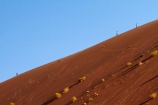 Africa;arid;big-dunes;Dead-vlei;Deadvlei;desert;deserts;dry;dune;dunes;giant-dune;giant-dunes;giant-sand-dune;giant-sand-dunes;hot;huge-dunes;large-dunes;Namib-Desert;Namib-Naukluft-N.P.;Namib-Naukluft-National-Park;Namib-Naukluft-NP;Namib_Naukluft-N.P.;Namib_Naukluft-National-Park;Namib_Naukluft-NP;Namibia;national-park;national-parks;natural;orange-sand;people;person;remote;remoteness;reserve;reserves;sand;sand-dune;sand-dunes;sand-hill;sand-hills;sand_dune;sand_dunes;sand_hill;sand_hills;sanddune;sanddunes;sandhill;sandhills;sandy;Sossusvlei;Southern-Africa;tourism;tourist;tourists;wilderness