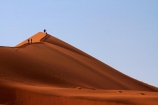 Africa;arid;big-dunes;Dead-vlei;Deadvlei;desert;deserts;dry;dune;dunes;giant-dune;giant-dunes;giant-sand-dune;giant-sand-dunes;hot;huge-dunes;large-dunes;Namib-Desert;Namib-Naukluft-N.P.;Namib-Naukluft-National-Park;Namib-Naukluft-NP;Namib_Naukluft-N.P.;Namib_Naukluft-National-Park;Namib_Naukluft-NP;Namibia;national-park;national-parks;natural;orange-sand;people;person;remote;remoteness;reserve;reserves;sand;sand-dune;sand-dunes;sand-hill;sand-hills;sand_dune;sand_dunes;sand_hill;sand_hills;sanddune;sanddunes;sandhill;sandhills;sandy;Sossusvlei;Southern-Africa;tourism;tourist;tourists;wilderness