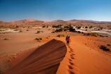 Africa;arid;big-dunes;children;desert;deserts;dry;dune;dunes;families;family;family-holiday;family-holidays;giant-dune;giant-dunes;giant-sand-dune;giant-sand-dunes;holiday;holidays;hot;huge-dunes;large-dunes;Namib-Desert;Namib-Naukluft-N.P.;Namib-Naukluft-National-Park;Namib-Naukluft-NP;Namib_Naukluft-N.P.;Namib_Naukluft-National-Park;Namib_Naukluft-NP;Namibia;national-park;national-parks;natural;orange-sand;people;person;remote;remoteness;reserve;reserves;sand;sand-dune;sand-dunes;sand-hill;sand-hills;sand_dune;sand_dunes;sand_hill;sand_hills;sanddune;sanddunes;sandhill;sandhills;sandy;Sossusvlei;Southern-Africa;tourism;tourist;tourists;wilderness