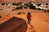 Africa;arid;big-dunes;children;desert;deserts;dry;dune;dunes;families;family;family-holiday;family-holidays;giant-dune;giant-dunes;giant-sand-dune;giant-sand-dunes;holiday;holidays;hot;huge-dunes;large-dunes;Namib-Desert;Namib-Naukluft-N.P.;Namib-Naukluft-National-Park;Namib-Naukluft-NP;Namib_Naukluft-N.P.;Namib_Naukluft-National-Park;Namib_Naukluft-NP;Namibia;national-park;national-parks;natural;orange-sand;people;person;remote;remoteness;reserve;reserves;sand;sand-dune;sand-dunes;sand-hill;sand-hills;sand_dune;sand_dunes;sand_hill;sand_hills;sanddune;sanddunes;sandhill;sandhills;sandy;Sossusvlei;Southern-Africa;tourism;tourist;tourists;wilderness