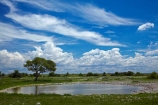 Africa;cloud;clouds;Etosha-N.P.;Etosha-National-Park;Etosha-NP;game-park;game-parks;game-reserve;game-reserves;Namibia;national-park;national-parks;Okaukuejo;Okaukuejo-Camp;Okaukuejo-Rest-Camp;Okaukuejo-waterhole;skies;sky;Southern-Africa;waterhole;waterholes;wildlife-park;wildlife-parks;wildlife-reserve;wildlife-reserves