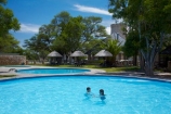 Africa;Etosha-N.P.;Etosha-National-Park;Etosha-NP;game-park;game-parks;game-reserve;game-reserves;Namibia;national-park;national-parks;Okaukuejo;Okaukuejo-Camp;Okaukuejo-Rest-Camp;people;person;pool;pools;Southern-Africa;swim;swimmer;swimmers;swimming-pool;swimming-pools;wildlife-park;wildlife-parks;wildlife-reserve;wildlife-reserves