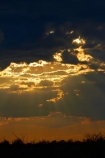 Africa;cloud-clouds;dusk;Etosha-N.P.;Etosha-National-Park;Etosha-NP;evening;game-park;game-parks;game-reserve;game-reserves;Namibia;national-park;national-parks;night;night_time;nightfall;Southern-Africa;sunset;sunsets;twilight;wildlife-park;wildlife-parks;wildlife-reserve;wildlife-reserves
