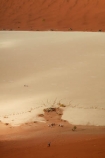 adventure;adventurous;Africa;African;arid;big-dunes;Dead-vlei;Deadvlei;desert;deserts;dry;dry-lake;dry-lake-bed;dry-lake-beds;dry-lakes;dune;dunes;families;family;giant-dune;giant-dunes;giant-sand-dune;giant-sand-dunes;holiday;holidays;hot;huge-dunes;lake-bed;large-dunes;Namib-Desert;Namib-Naukluft-N.P.;Namib-Naukluft-National-Park;Namib-Naukluft-NP;Namib_Naukluft-N.P.;Namib_Naukluft-National-Park;Namib_Naukluft-NP;Namibia;national-park;national-parks;natural;orange-sand;people;person;remote;remoteness;reserve;reserves;sand;sand-dune;sand-dunes;sand-hill;sand-hills;sand_dune;sand_dunes;sand_hill;sand_hills;sanddune;sanddunes;sandhill;sandhills;sandy;Sossusvlei;Southern-Africa;tourism;tourist;tourists;wilderness