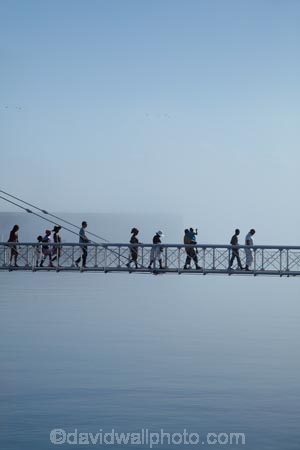 Africa;Alfred-Basin;bridge;bridges;Cape-Town;Cape-Town-Waterfront;coast;fog;foggy;fogs;foot-bridge;foot-bridges;footbridge;footbridges;mist;mists;misty;morning;pedestrian-bridge;pedestrian-bridges;S.A.;South-Africa;Southern-Africa;Sth-Africa;suspension-bridge;suspension-bridges;swing-bridge;swing-bridges;V-amp;-A-Waterfront;V-and-A-Waterfront;Vamp;A-Waterfront;Victoria-amp;-Alfred-Waterfront;Victoria-and-Alfred-Waterfront;Victoria-Basin;waterfront;waterfronts;Western-Cape;Western-Cape-Province