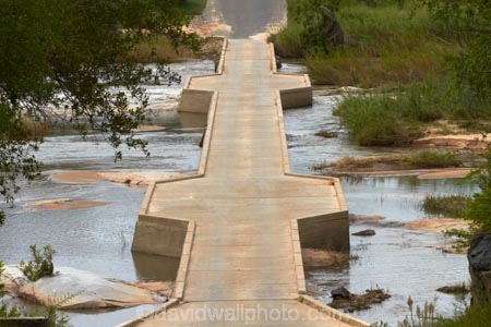 Africa;African;bridge;bridges;game-park;game-parks;game-reserve;game-reserves;Great-Limpopo-Transfrontier-Park;Kruger;Kruger-N.P.;Kruger-National-Park;Kruger-NP;Kruger-reserve;Kruger-to-Canyons-Biosphere;national-park;national-parks;Republic-of-South-Africa;river;rivers;road-bridge;road-bridges;Sabie-River;South-Africa;South-African-Republic;Southern-Africa;wildlife-park;wildlife-parks;wildlife-reserve;wildlife-reserves