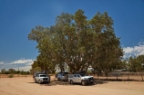 4wd;4wds;4wds;4x4;4x4s;4x4s;four-by-four;four-by-fours;four-wheel-drive;four-wheel-drives;Kenhardt;Northern-Cape;Northern-Cape-Province;Republic-of-South-Africa;South-Africa;South-African-Republic;Southern-Africa;sports-utility-vehicle;sports-utility-vehicles;suv;suvs;tree;trees;vehicle;vehicles