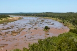 Africa;African-animals;African-wildlife;animal;animals;game-drive;game-park;game-parks;game-reserve;game-reserves;game-viewing;Great-Limpopo-Transfrontier-Park;Kruger;Kruger-N.P.;Kruger-National-Park;Kruger-NP;Kruger-reserve;Kruger-to-Canyons-Biosphere;national-park;national-parks;natural;nature;Olifants-River;Republic-of-South-Africa;reserve;reserves;river;rivers;safari;safaris;South-Africa;South-African-Republic;Southern-Africa;wild;wilderness;wildlife;wildlife-park;wildlife-parks;wildlife-reserve;wildlife-reserves