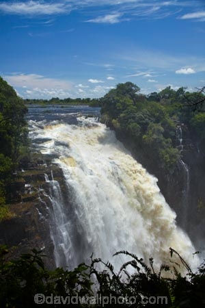 Africa;cascade;cascades;chasm;chasms;Devils-Cataract;Devils-Cataract;fall;falls;First-Gorge;gorge;gorges;Mosi_oa_Tunya;natural;natural-wonders-of-the-world;nature;ravine;ravines;river;rivers;scene;scenic;seven-natural-wonders;seven-natural-wonders-of-the-world;seven-wonders-of-the-natural-world;seven-wonders-of-the-world;Southern-Africa;the-Smoke-that-Thunders;UN-world-heritage-area;UN-world-heritage-site;UNESCO-World-Heritage-area;UNESCO-World-Heritage-Site;united-nations-world-heritage-area;united-nations-world-heritage-site;V.F.;VF;Vic-Falls;Vic.-Falls;Victoria-Falls;Victoria-Falls-National-Park;water;water-fall;water-falls;waterfall;waterfalls;wet;world-heritage;world-heritage-area;world-heritage-areas;World-Heritage-Park;World-Heritage-site;World-Heritage-Sites;Zambesi;Zambesi-River;Zambeze;Zambeze-River;Zambezi;Zambezi-River;Zimbabwe