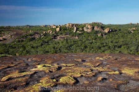 Africa;Big-Cave-Camp;Big-Cave-Lodge;boulder;boulders;camouflage;camouflaged;camp;camps;geological;geology;granite;kopje;kopjes;koppie;koppies;lodge;lodges;Matobo-Hills;Matobo-National-Park;Matopos-Hills;resort;resorts;rock;rock-formation;rock-formations;rock-outcrop;rock-outcrops;rock-tor;rock-torr;rock-torrs;rock-tors;rocks;Southern-Africa;stone;unusual-natural-feature;unusual-natural-features;Zimbabwe