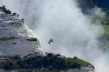 aerial;aerial-image;aerial-images;aerial-photo;aerial-photograph;aerial-photographs;aerial-photography;aerial-photos;aerial-view;aerial-views;aerials;Africa;cascade;cascades;chasm;chasms;fall;falls;First-Gorge;gorge;gorges;Marabou-Stork;Marabou-Storks;mist;Mosi_oa_Tunya;natural;natural-wonders-of-the-world;nature;ravine;ravines;river;rivers;scene;scenic;seven-natural-wonders;seven-natural-wonders-of-the-world;seven-wonders-of-the-natural-world;seven-wonders-of-the-world;Southern-Africa;spray;the-Smoke-that-Thunders;UN-world-heritage-area;UN-world-heritage-site;UNESCO-World-Heritage-area;UNESCO-World-Heritage-Site;united-nations-world-heritage-area;united-nations-world-heritage-site;V.F.;VF;Vic-Falls;Vic.-Falls;Victoria-Falls;Victoria-Falls-National-Park;water;water-fall;water-falls;waterfall;waterfalls;wet;world-heritage;world-heritage-area;world-heritage-areas;World-Heritage-Park;World-Heritage-site;World-Heritage-Sites;Zambesi;Zambesi-River;Zambeze;Zambeze-River;Zambezi;Zambezi-River;Zambia;Zimbabwe