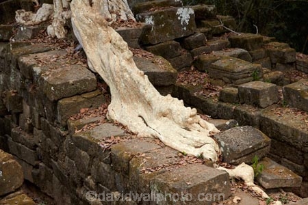 abandon;abandoned;ancient;ancient-temple;ancient-temples;Angkor;Angkor-Archaeological-Park;Angkor-Region;Angkor-Wat-World-Heritage-Area;Angkor-Wat-World-Heritage-Park;Angkor-Wat-World-Heritage-Site;Angkor-World-Heritage-Area;Angkor-World-Heritage-Park;Angkor-World-Heritage-Site;archaeological-site;archaeological-sites;Asia;bridge;Buddhist-temple;Buddhist-temples;building;buildings;Cambodia;Cambodian;Ceiba-pentandra;heritage;historic;historic-place;historic-places;historical;historical-place;historical-places;history;Indochina-Peninsula;Kampuchea;Khmer-Capital;Khmer-Empire;Khmer-temple;Khmer-temples;Kingdom-of-Cambodia;old;place-of-worship;places-of-worship;religion;religions;religious;religious-monument;religious-monuments;religious-site;root;roots;ruin;ruins;Siem-Reap;Siem-Reap-Province;silk_cotton-tree;Southeast-Asia;Spean-Thmor;Spean-Thmor-bridge;stone-bridge;stone-bridges;temple-ruins;Tetrameles-nudiflora;thitpok;tradition;traditional;tree;tree-root;tree-roots;trees;UN-world-heritage-area;UN-world-heritage-site;UNESCO-World-Heritage-area;UNESCO-World-Heritage-Site;united-nations-world-heritage-area;united-nations-world-heritage-site;world-heritage;world-heritage-area;world-heritage-areas;World-Heritage-Park;World-Heritage-site;World-Heritage-Sites