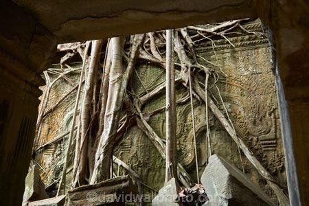 1186AD;12th-century;abandon;abandoned;ancient-temple;ancient-temples;Angkor;Angkor-Archaeological-Park;Angkor-Region;Angkor-Wat-World-Heritage-Area;Angkor-Wat-World-Heritage-Park;Angkor-Wat-World-Heritage-Site;Angkor-World-Heritage-Area;Angkor-World-Heritage-Park;Angkor-World-Heritage-Site;archaeological-site;archaeological-sites;Asia;bas-relief;bas-relief-carving;bas-relief-carvings;bas_relief;bas_relief-carving;bas_relief-carvings;Buddhist-temple;Buddhist-temples;building;buildings;Cambodia;Cambodian;Ceiba-pentandra;heritage;historic;historic-place;historic-places;historical;historical-place;historical-places;history;Indochina-Peninsula;jungle;Kampuchea;Khmer-Capital;Khmer-Empire;Khmer-temple;Khmer-temples;Kingdom-of-Cambodia;old;overgrown;place-of-worship;places-of-worship;religion;religions;religious;religious-monument;religious-monuments;religious-site;root;roots;ruin;ruins;Siem-Reap;Siem-Reap-Province;silk_cotton-tree;Southeast-Asia;stone;stone-building;stone-carving;stone-carvings;stonework;Ta-Prohm;Ta-Prohm-temple;Ta-Prohm-temple-ruins;temple-ruins;Tetrameles-nudiflora;thitpok;tradition;traditional;tree;tree-root;tree-roots;trees;twelfth-century;UN-world-heritage-area;UN-world-heritage-site;UNESCO-World-Heritage-area;UNESCO-World-Heritage-Site;united-nations-world-heritage-area;united-nations-world-heritage-site;world-heritage;world-heritage-area;world-heritage-areas;World-Heritage-Park;World-Heritage-site;World-Heritage-Sites