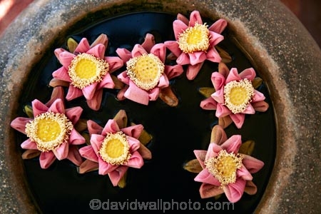 Asia;Cambodia;decoration;float;Flower;flowers;hotel;hotels;Indochina-Peninsula;Kampuchea;Kingdom-of-Cambodia;Okay-1-Hotel;Okay-1-Villa;Okay-One-Hotel;Okay-One-Villa;pot;pots;Siem-Reap;Siem-Reap-Province;Southeast-Asia