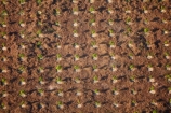 aerial;aerial-image;aerial-images;aerial-photo;aerial-photograph;aerial-photographs;aerial-photography;aerial-photos;aerial-view;aerial-views;aerials;agricultural;agriculture;Asia;Cambodia;country;countryside;crop;crops;farm;farming;farmland;farms;field;fields;fruit-tree;fruit-trees;horticulture;Indochina-Peninsula;Kampuchea;Kingdom-of-Cambodia;meadow;meadows;orchard;orchards;paddock;paddocks;pasture;pastures;pattern;patterns;rural;Siem-Reap;Siem-Reap-Province;Southeast-Asia