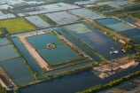 aerial;aerial-image;aerial-images;aerial-photo;aerial-photograph;aerial-photographs;aerial-photography;aerial-photos;aerial-view;aerial-views;aerials;agricultural;agriculture;Asia;Cambodia;country;countryside;crop;crops;development;farm;farming;farmland;farms;field;fields;horticulture;Indochina-Peninsula;Kampuchea;Kingdom-of-Cambodia;lake;lakes;meadow;meadows;new-development;paddock;paddocks;paddy-field;paddy-fields;pasture;pastures;pond;ponds;rice-field;rice-fields;rice-paddies;rice-paddy;rural;Siem-Reap;Siem-Reap-Province;Southeast-Asia