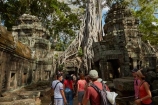 1186AD;12th-century;abandon;abandoned;ancient-temple;ancient-temples;Angkor;Angkor-Archaeological-Park;Angkor-Region;Angkor-Wat-World-Heritage-Area;Angkor-Wat-World-Heritage-Park;Angkor-Wat-World-Heritage-Site;Angkor-World-Heritage-Area;Angkor-World-Heritage-Park;Angkor-World-Heritage-Site;archaeological-site;archaeological-sites;Asia;bas-relief;bas-relief-carving;bas-relief-carvings;bas_relief;bas_relief-carving;bas_relief-carvings;Buddhist-temple;Buddhist-temples;building;buildings;Cambodia;Cambodian;Ceiba-pentandra;heritage;historic;historic-place;historic-places;historical;historical-place;historical-places;history;Indochina-Peninsula;jungle;Kampuchea;Khmer-Capital;Khmer-Empire;Khmer-temple;Khmer-temples;Kingdom-of-Cambodia;old;overgrown;people;person;place-of-worship;places-of-worship;religion;religions;religious;religious-monument;religious-monuments;religious-site;root;roots;ruin;ruins;Siem-Reap;Siem-Reap-Province;silk_cotton-tree;Southeast-Asia;stone;stone-building;stone-carving;stone-carvings;stonework;Ta-Prohm;Ta-Prohm-temple;Ta-Prohm-temple-ruins;temple-ruins;Tetrameles-nudiflora;thitpok;tourism;tourist;tourists;tradition;traditional;tree;tree-root;tree-roots;trees;twelfth-century;UN-world-heritage-area;UN-world-heritage-site;UNESCO-World-Heritage-area;UNESCO-World-Heritage-Site;united-nations-world-heritage-area;united-nations-world-heritage-site;world-heritage;world-heritage-area;world-heritage-areas;World-Heritage-Park;World-Heritage-site;World-Heritage-Sites