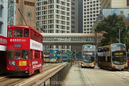 accommodation;aerial-walkway;aerial-walkways;apartment;apartments;Asia;bus;buses;c.b.d.;CBD;Central;central-business-district;China;cities;city;cityscape;cityscapes;condo;condominium;condominiums;condos;Des-Voeux-Rd;Des-Voeux-Road;ding-ding-tram;double-decker-tram;double-decker-trams;double_deck-tram;double_deck-trams;Double_decker-tram;double_decker-trams;down_town;downtown;H.K.;high-rise;high-rises;high_rise;high_rises;highrise;highrises;HK;holiday-accommodation;Hong-Kong;Hong-Kong-Island;Hong-Kong-Special-Administrative-Region-of-the-Peoples-Republic;Hong-Kong-Tramways;multi_storey;multi_storied;multistorey;multistoried;office;office-block;office-blocks;offices;Peoples-Republic-of-China;public-transport;public-transportation;rail;rails;residential;residential-apartment;residential-apartments;residential-building;residential-buildings;road;roads;roadway;sky-scraper;sky-scrapers;sky_scraper;sky_scrapers;skyscraper;skyscrapers;street;street-car;street-cars;street_car;street_cars;streetcar;streetcars;streets;tower-block;tower-blocks;tram;tram-car;tram-cars;tram_car;tram_cars;tram_way;tram_ways;tramcar;tramcars;trams;tramway;tramways;transport;transportation;trolley;trolleys