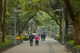 Asia;Causeway-Bay;China;H.K.;HK;Hong-Kong;Hong-Kong-Island;Hong-Kong-Special-Administrative-Region-of-the-Peoples-Republic;path;pathway;pedestrian;pedestrians;people;Peoples-Republic-of-China;person;tree;trees;Victoria-Park;Victoria-Pk;walker;walkers;walking;walkway;walkways