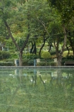 Asia;Causeway-Bay;China;H.K.;HK;Hong-Kong;Hong-Kong-Island;Hong-Kong-Special-Administrative-Region-of-the-Peoples-Republic;Peoples-Republic-of-China;pond;ponds;pool;pools;tree;trees;Victoria-Park;Victoria-Pk
